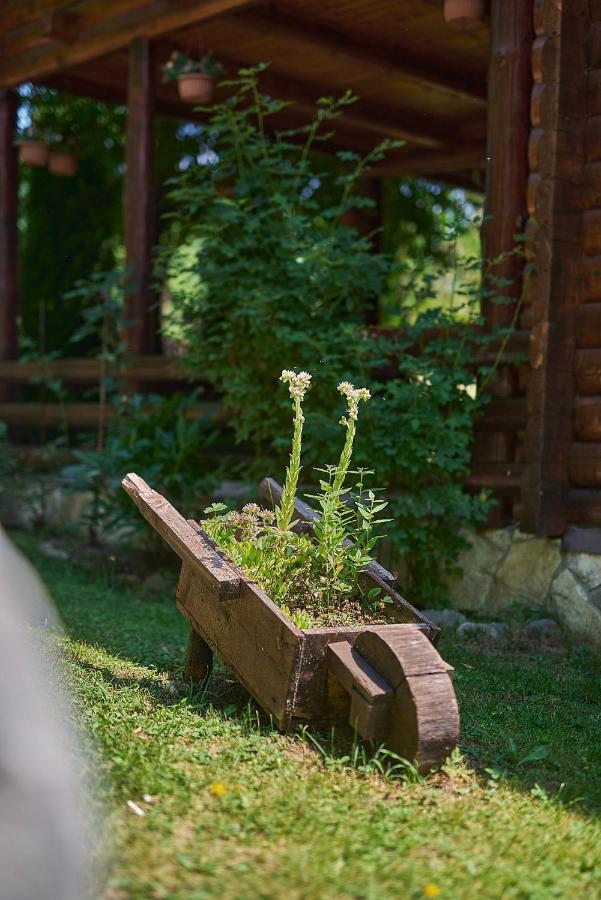 Country House Brijest Kolašin Kültér fotó