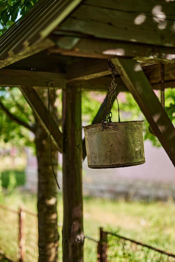 Country House Brijest Kolašin Kültér fotó